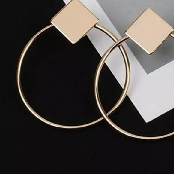 Round Hanging Earrings - Picture 4 of 4